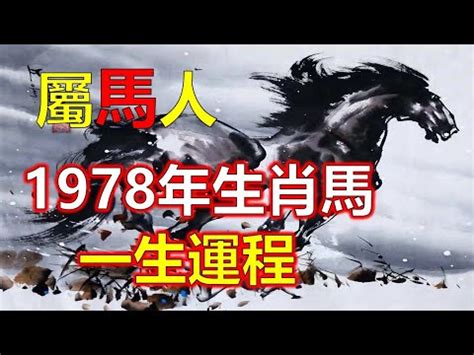 1978屬馬的女人2023|78馬女2023事業突破